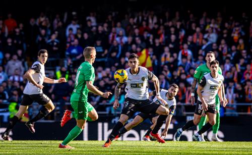 Understanding Fixed Betting: A Beginner's Guide